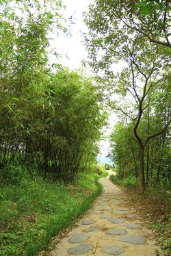 臺北分局－癒花園及農田漫遊道營造工程