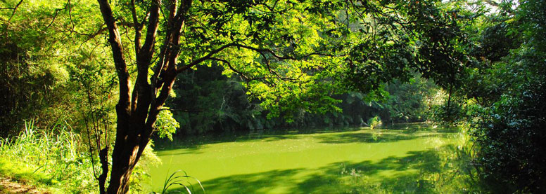 新竹橫山-沙坑社區