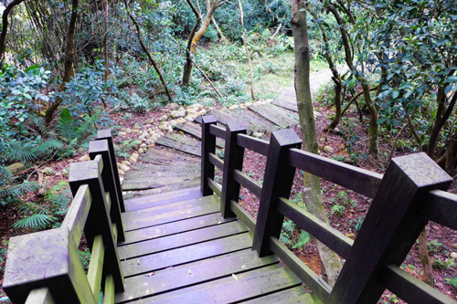 樟林步道（環境教育推動過程）